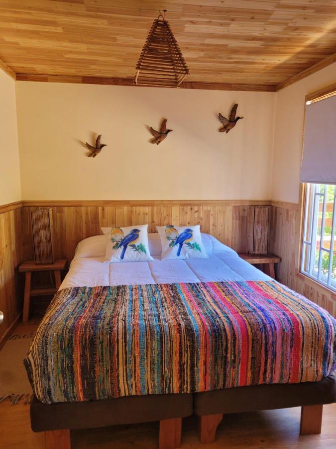 Cabana Con Tinaja Caliente En Ruta Termal De Huife Chalé